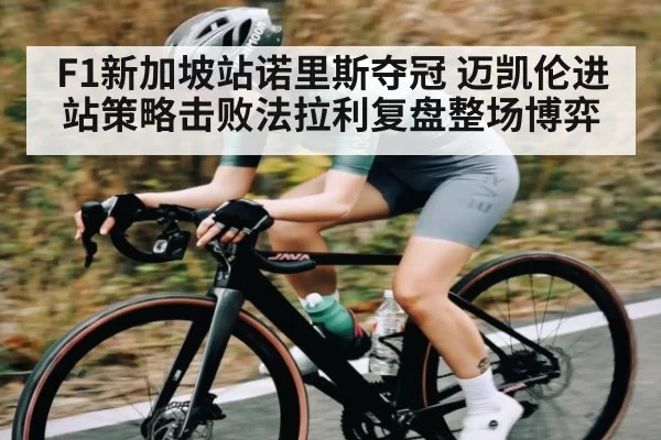 F1新加坡站诺里斯夺冠 迈凯伦进站策略击败法拉利复盘整场博弈
